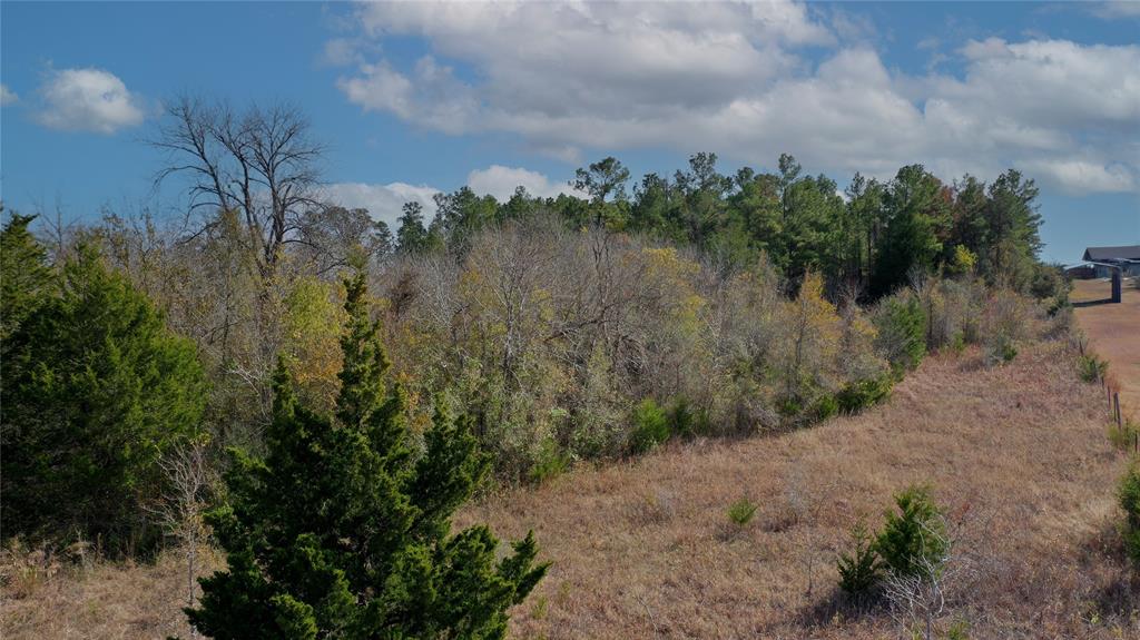 TBD Fm 2819, Anderson, Texas image 13