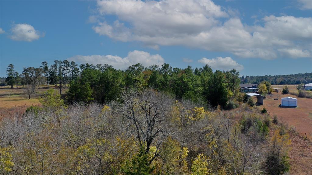 TBD Fm 2819, Anderson, Texas image 17