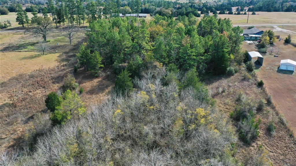 TBD Fm 2819, Anderson, Texas image 5