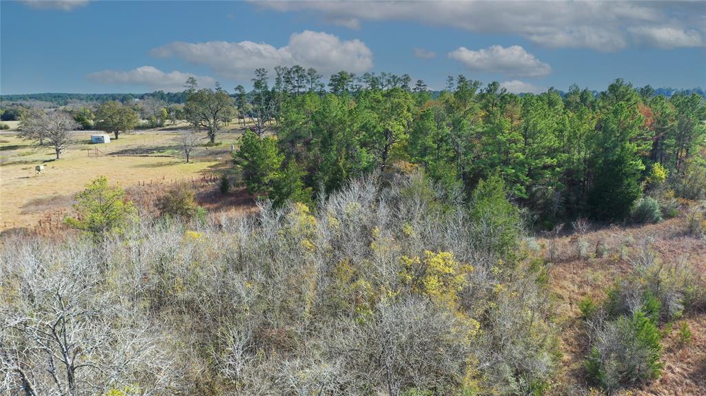 TBD Fm 2819, Anderson, Texas image 1