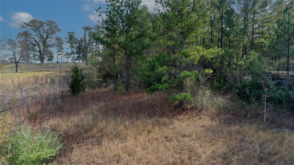 TBD Fm 2819, Anderson, Texas image 14