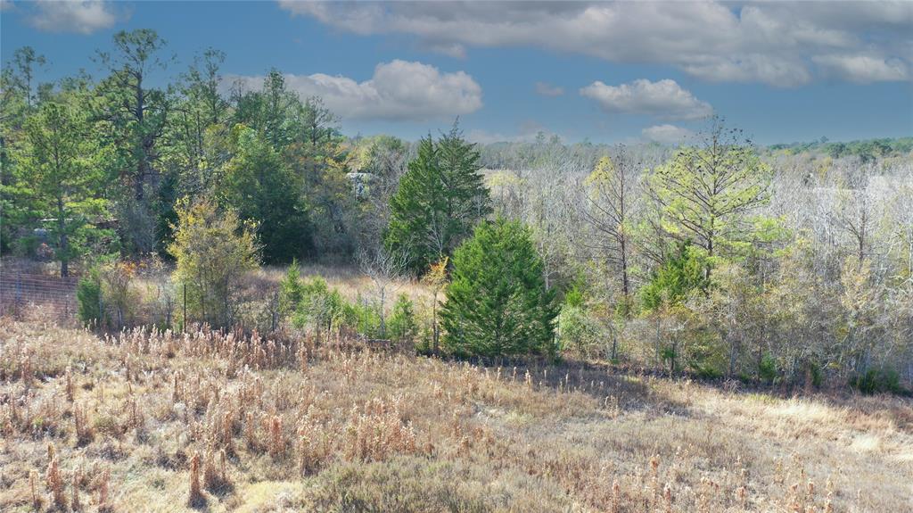 TBD Fm 2819, Anderson, Texas image 15