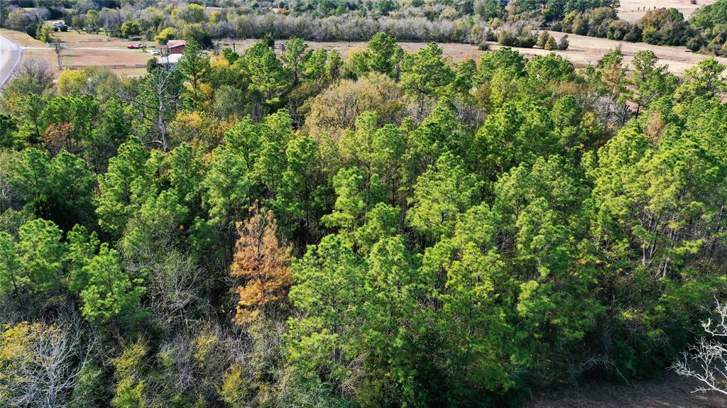 TBD Fm 2819, Anderson, Texas image 8