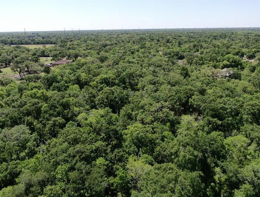 Cr 244, Brazoria, Texas image 14