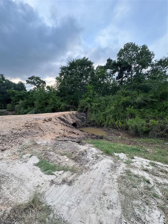 Cr 244, Brazoria, Texas image 18