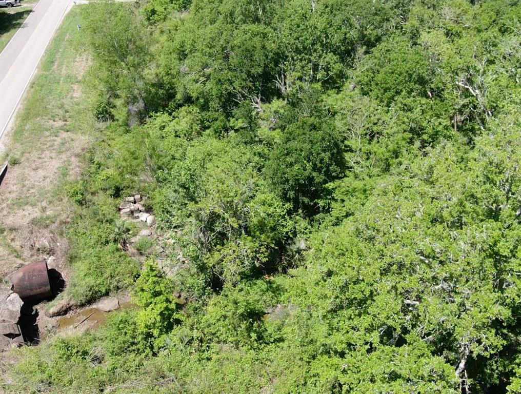 Cr 244, Brazoria, Texas image 11