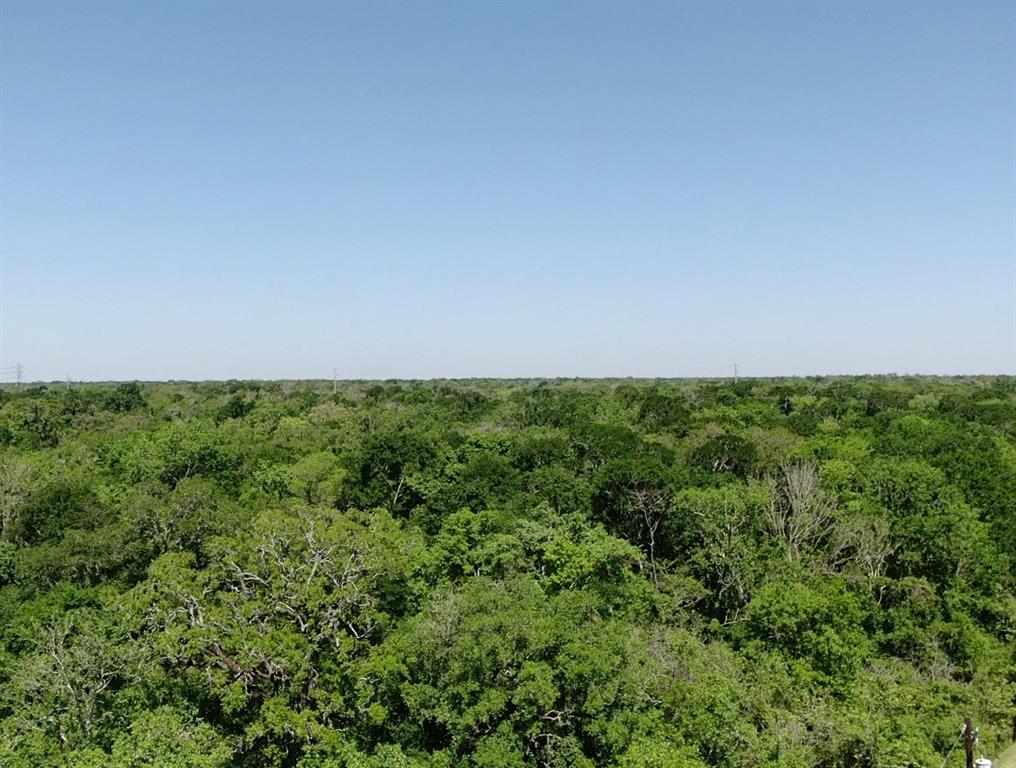 Cr 244, Brazoria, Texas image 15