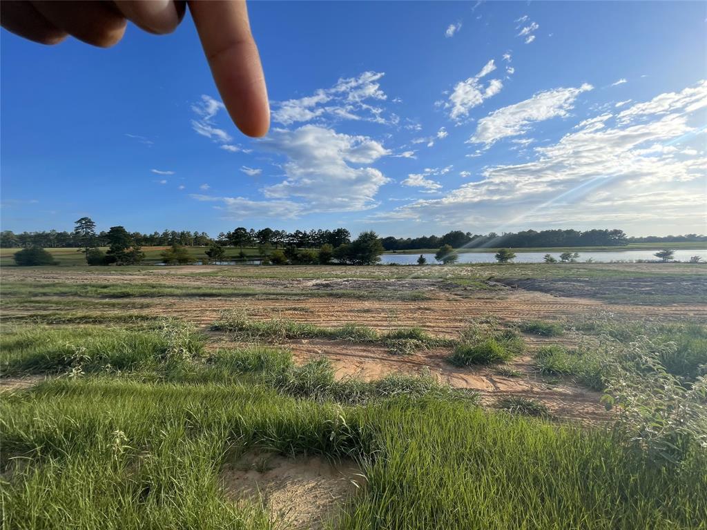 2255 E Fm-1013, Hillister, Texas image 10