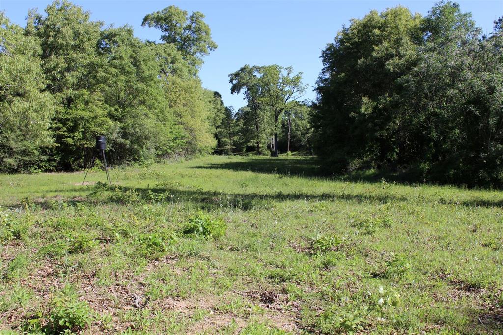 298 Private Road 1350, Centerville, Texas image 10