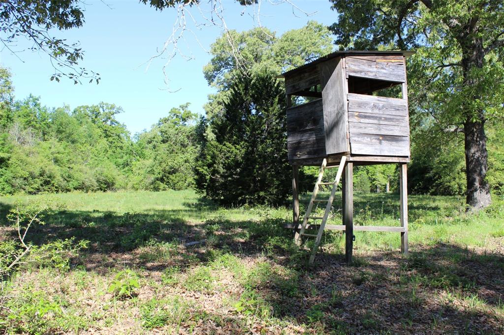 298 Private Road 1350, Centerville, Texas image 12