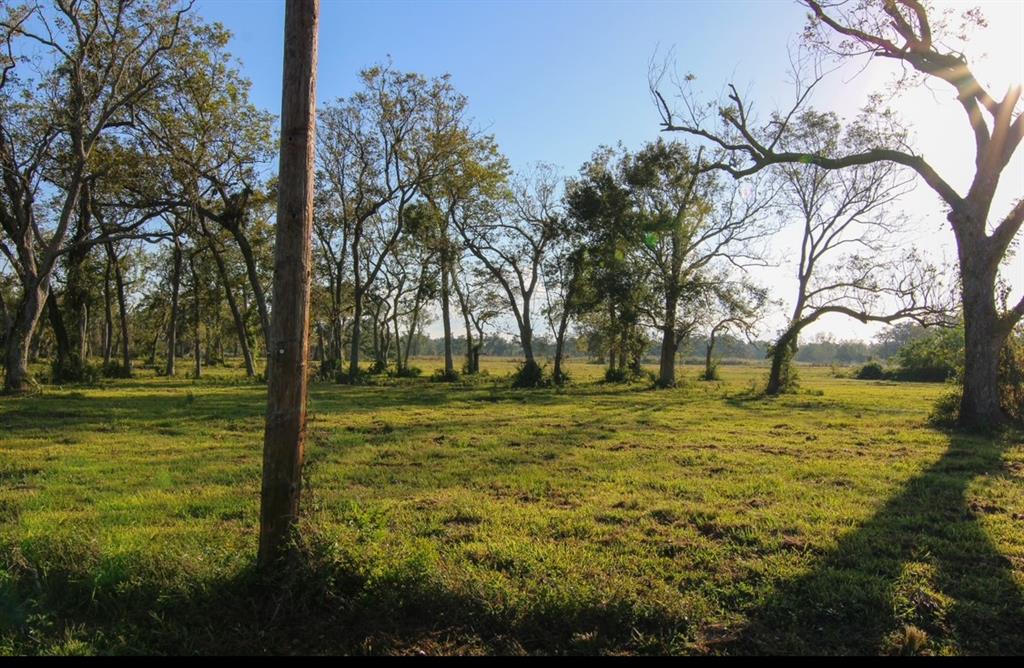 000 County Road 358, Brazoria, Texas image 3