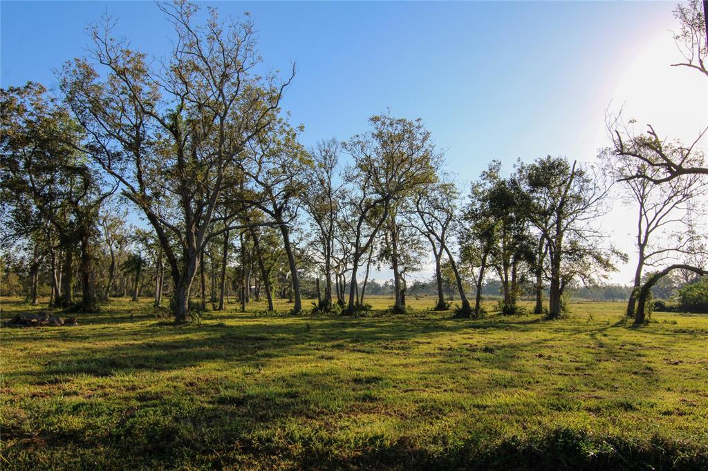 000 County Road 358, Brazoria, Texas image 1