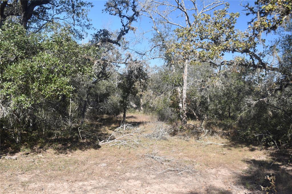 0000 County Road 14a/pvt 1072 Tx, Edna, Texas image 16