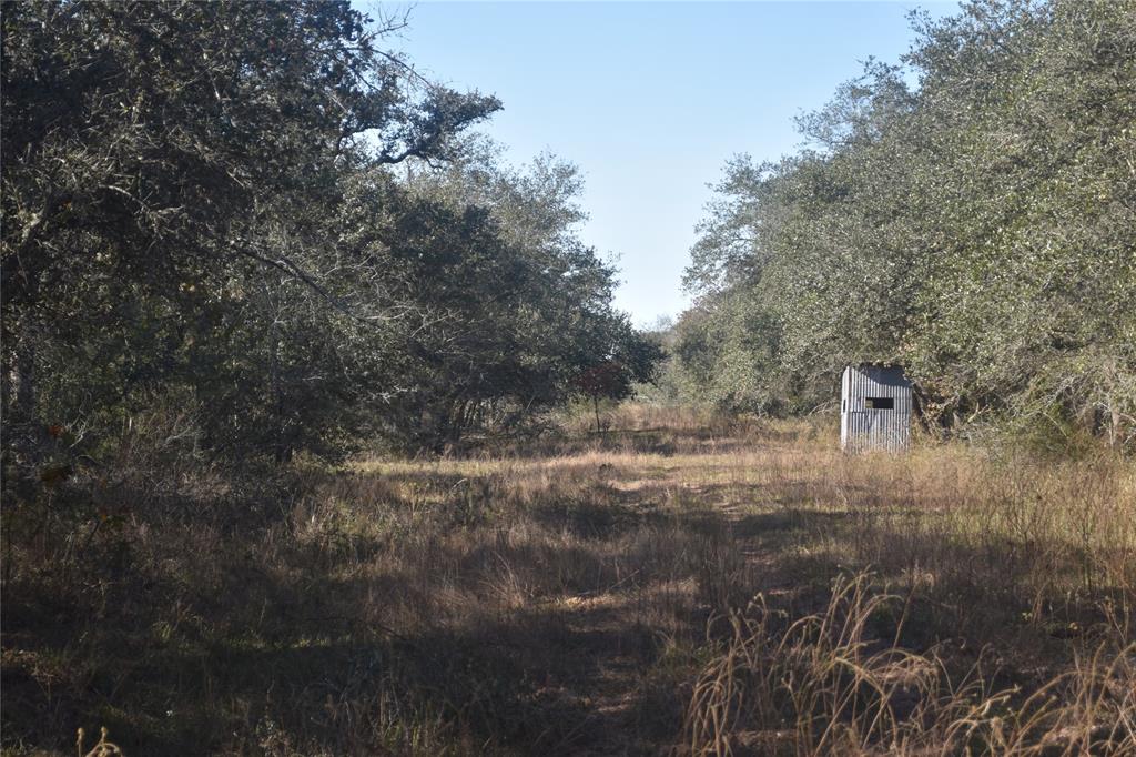 0000 County Road 14a/pvt 1072 Tx, Edna, Texas image 18