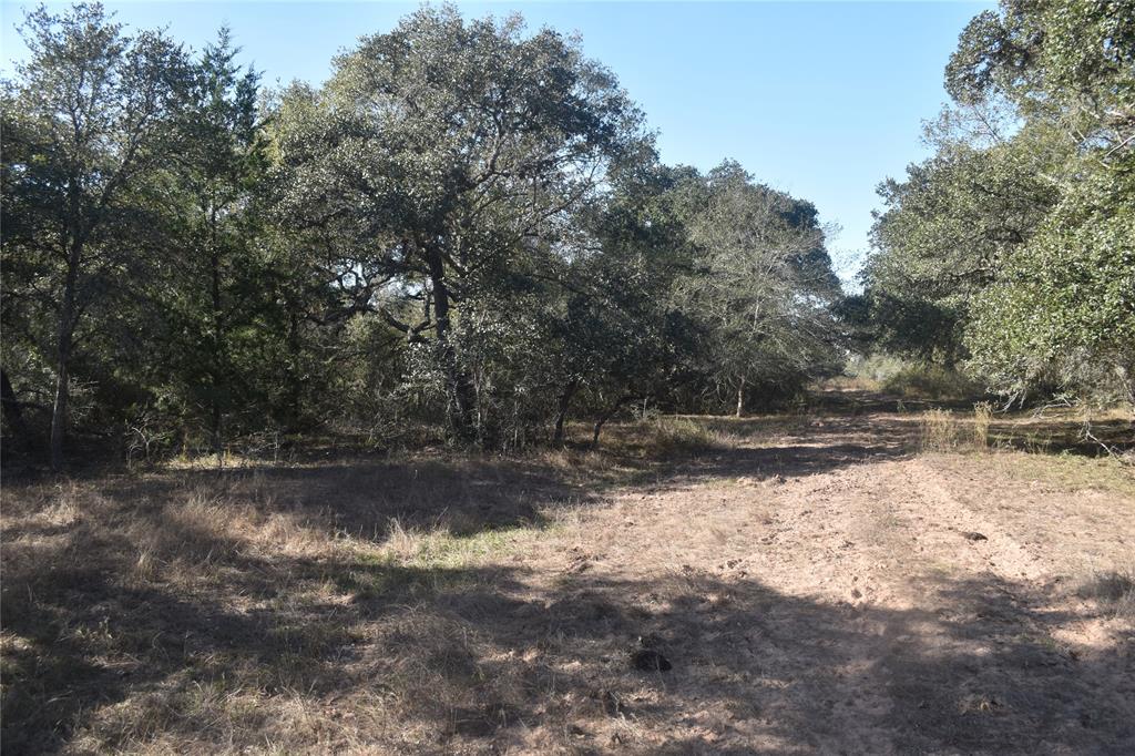 0000 County Road 14a/pvt 1072 Tx, Edna, Texas image 15