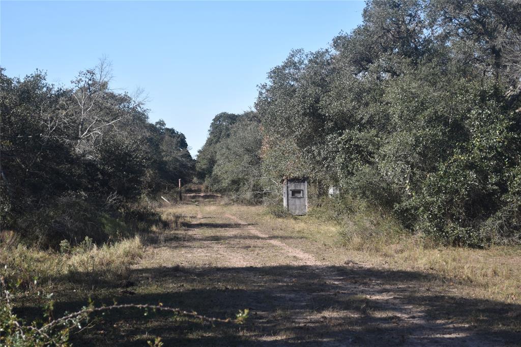 0000 County Road 14a/pvt 1072 Tx, Edna, Texas image 12