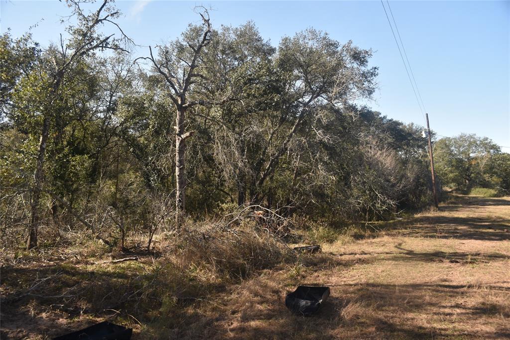 0000 County Road 14a/pvt 1072 Tx, Edna, Texas image 6