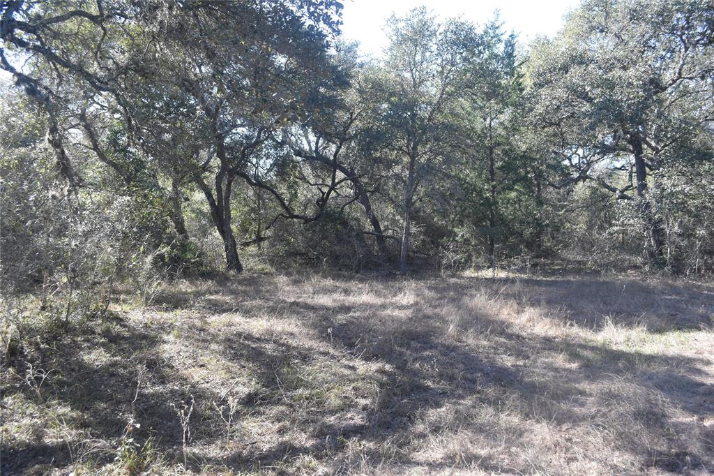 0000 County Road 14a/pvt 1072 Tx, Edna, Texas image 14