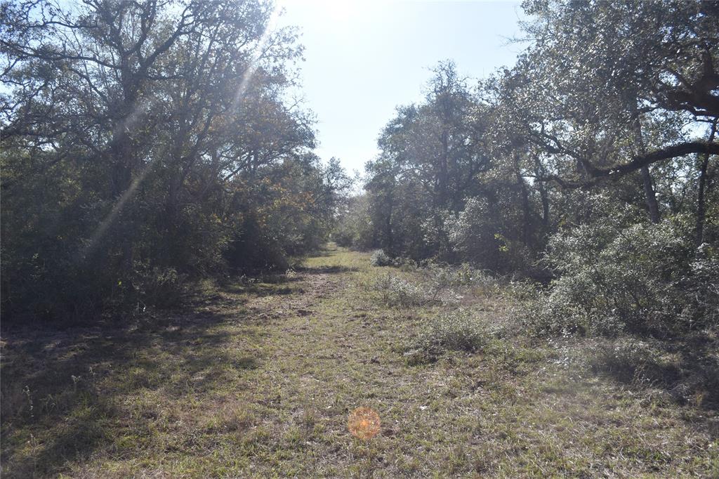 0000 County Road 14a/pvt 1072 Tx, Edna, Texas image 19