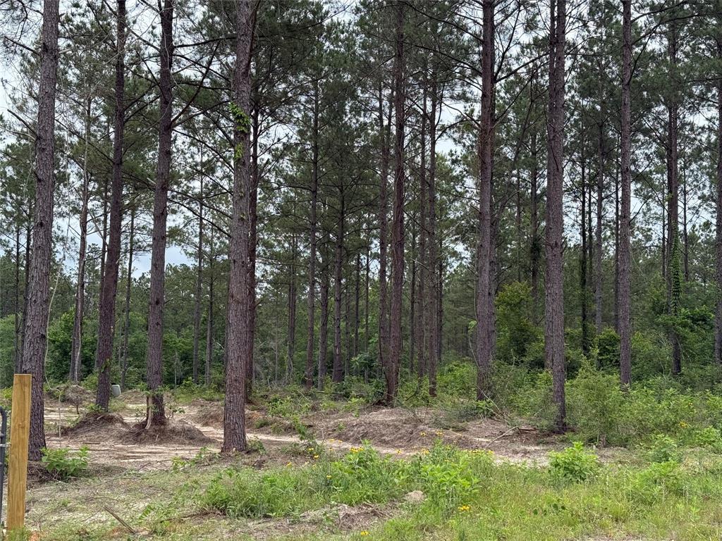 00 Richardson Road, Livingston, Texas image 7
