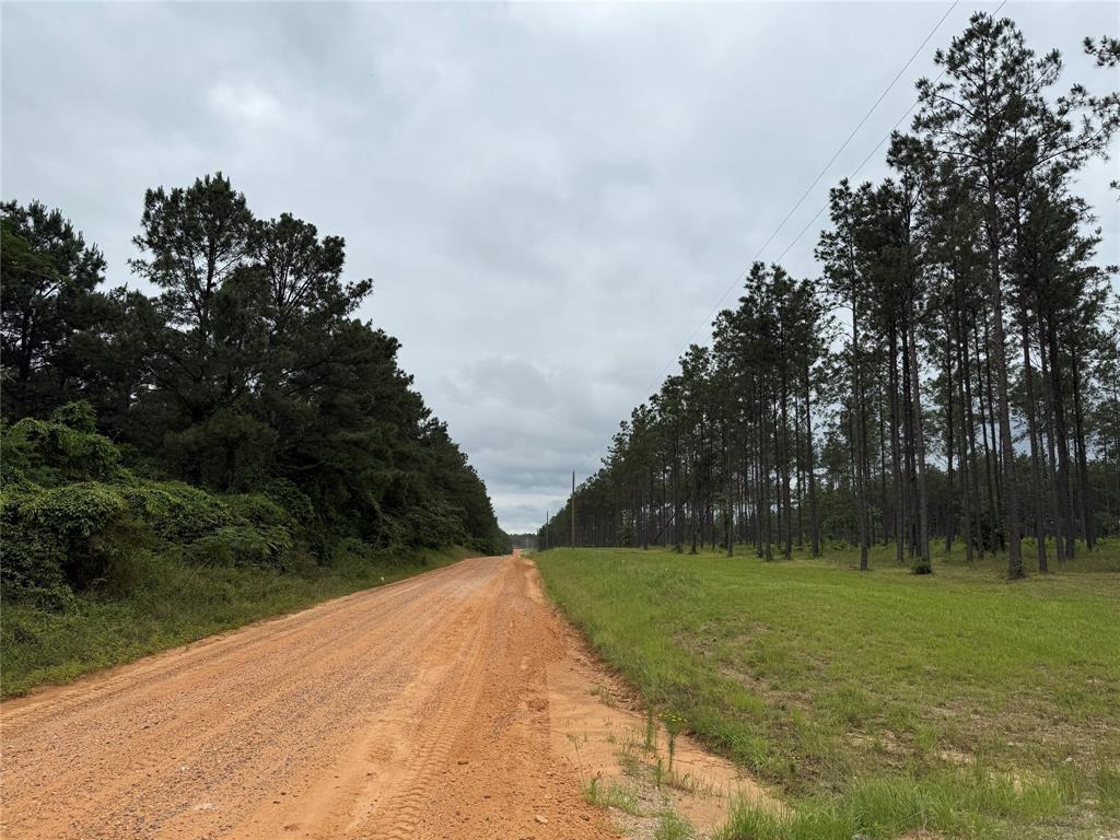 00 Richardson Road, Livingston, Texas image 9