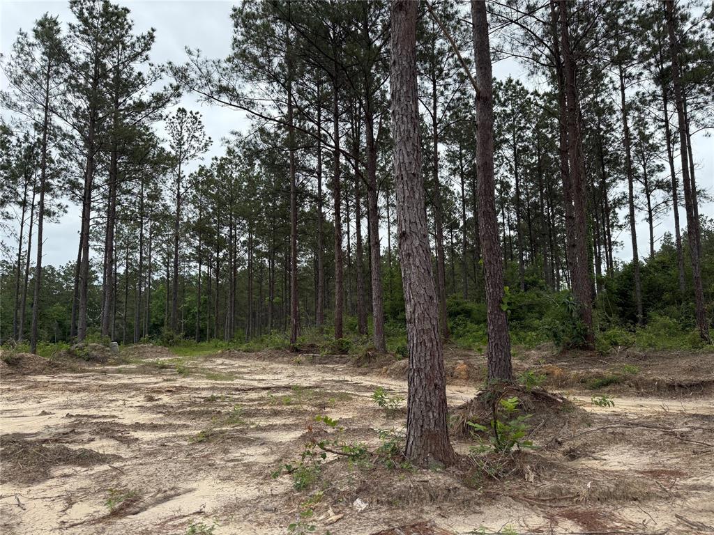 00 Richardson Road, Livingston, Texas image 3