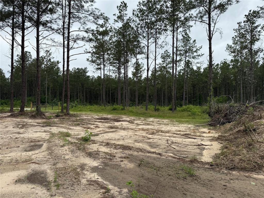 00 Richardson Road, Livingston, Texas image 5