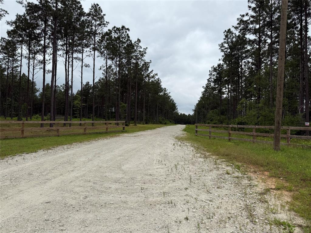 00 Richardson Road, Livingston, Texas image 2