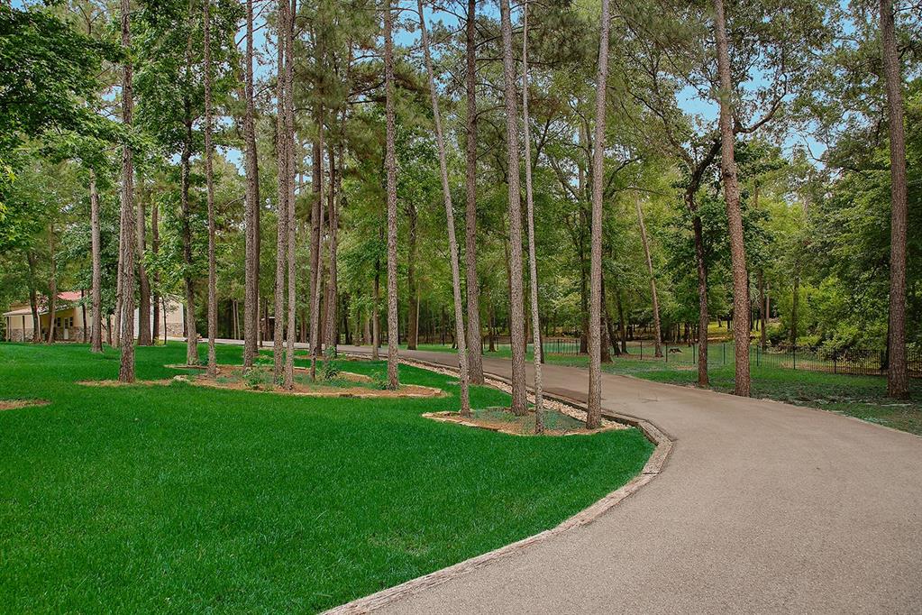 280 Sundog Road, Huntsville, Texas image 42