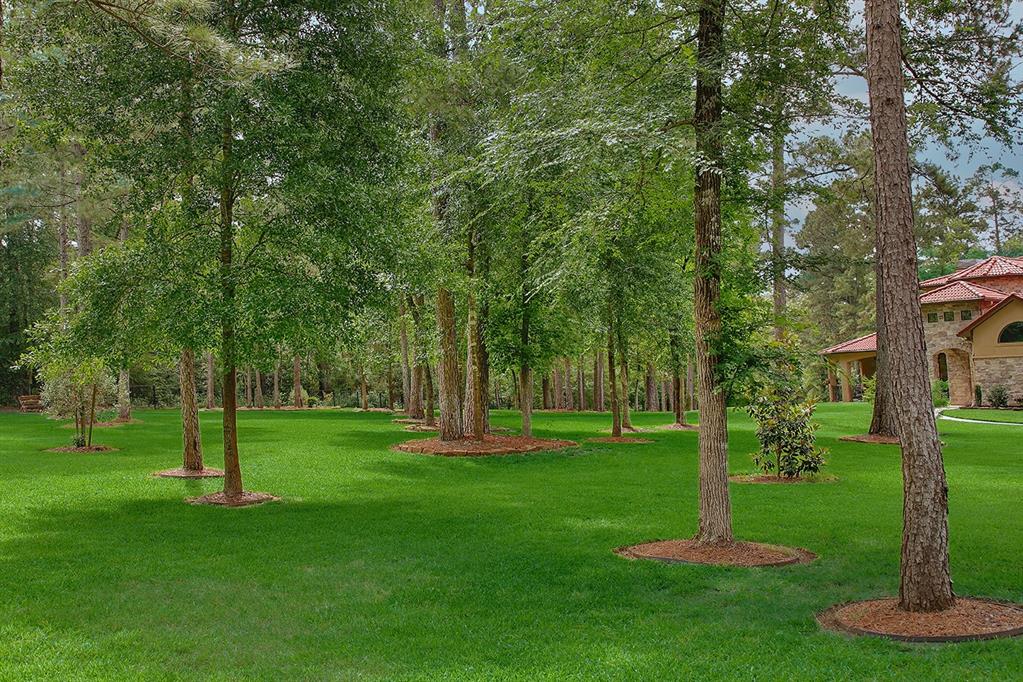280 Sundog Road, Huntsville, Texas image 47