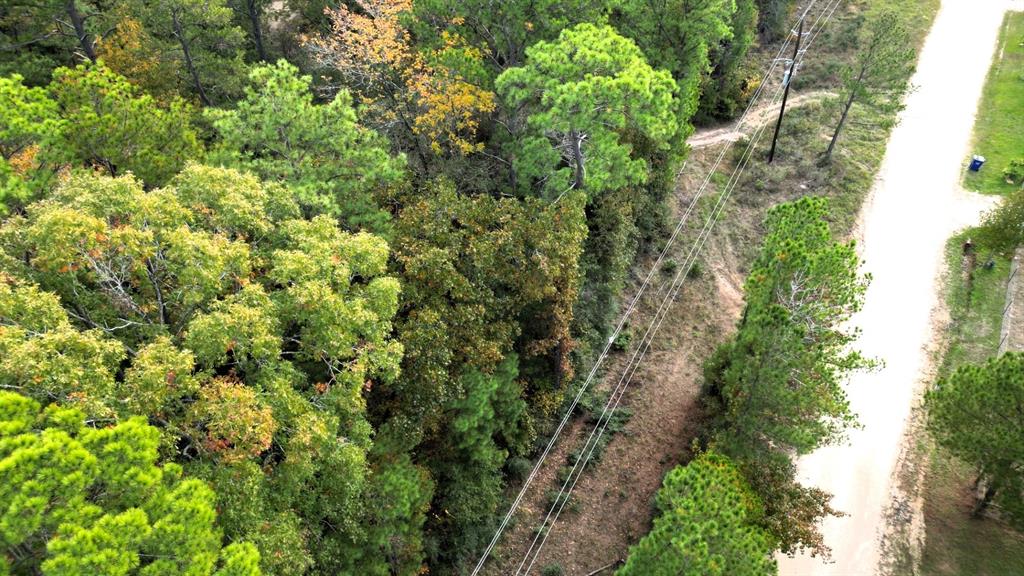 375 Rock Creek Drive, Trinity, Texas image 8