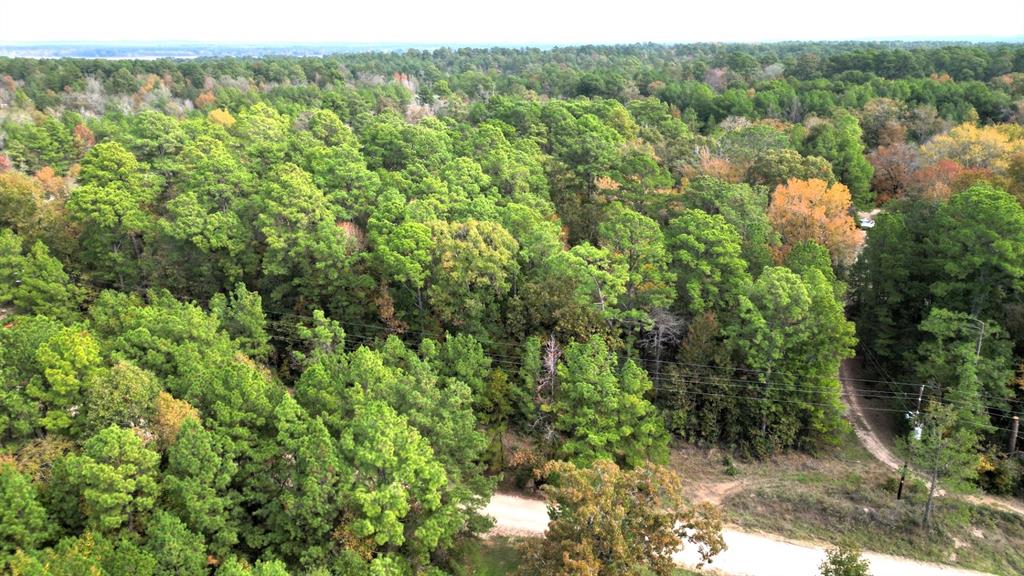 375 Rock Creek Drive, Trinity, Texas image 10