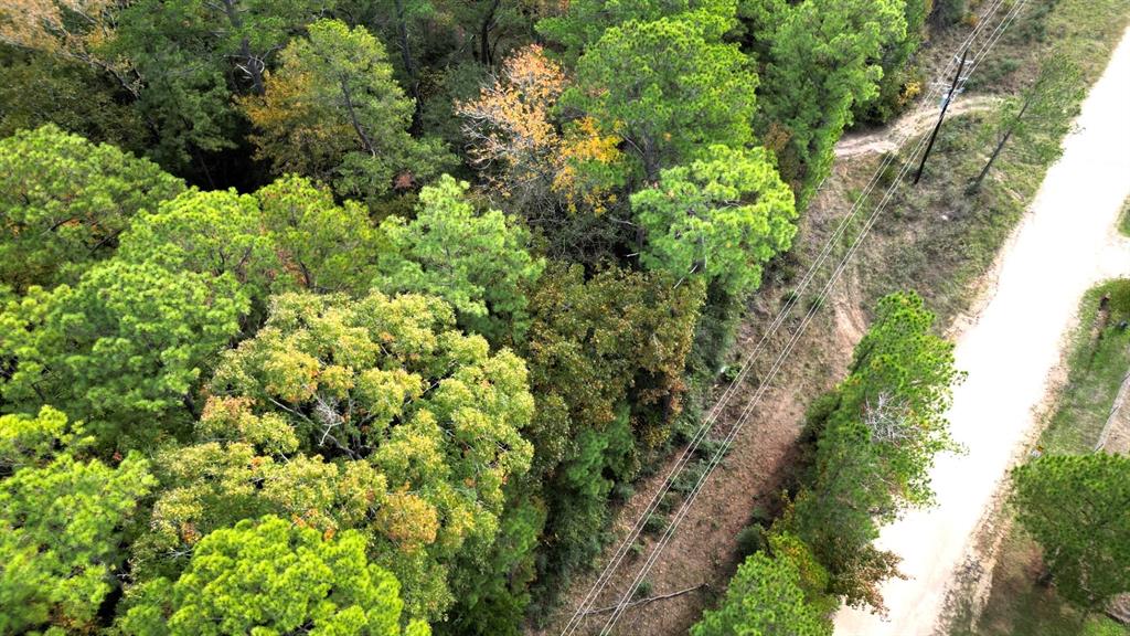 375 Rock Creek Drive, Trinity, Texas image 9