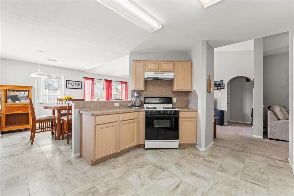 3911 Dogwood Bough Lane, Fresno, Texas image 15