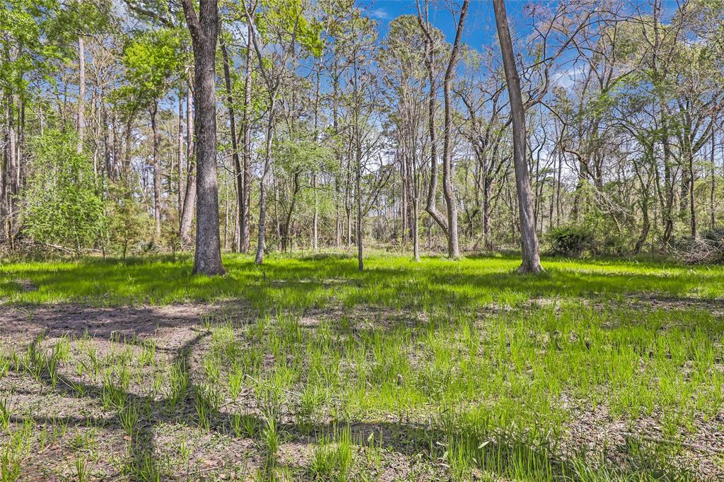 203 County Road 6763, Dayton, Texas image 31