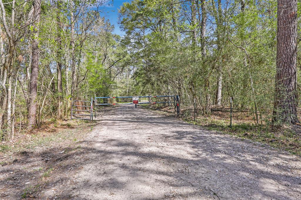 203 County Road 6763, Dayton, Texas image 21