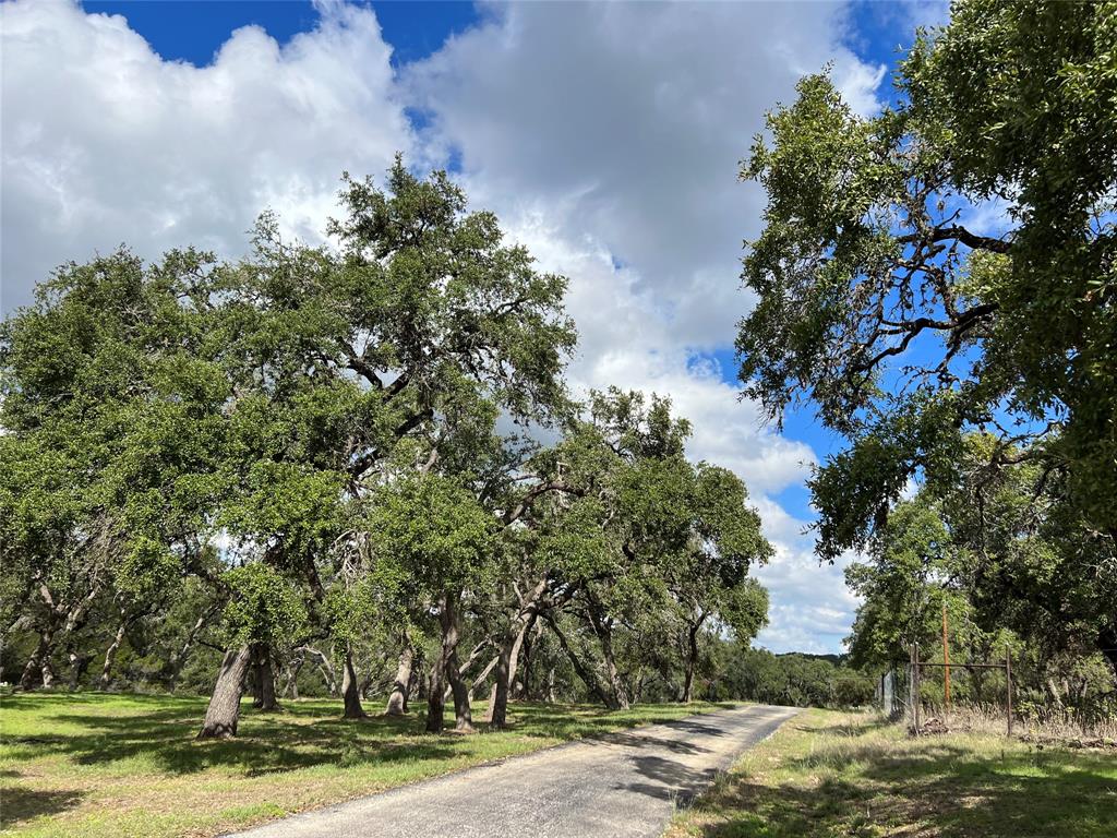 5005 Fm 3237 Road, Wimberley, Texas image 14