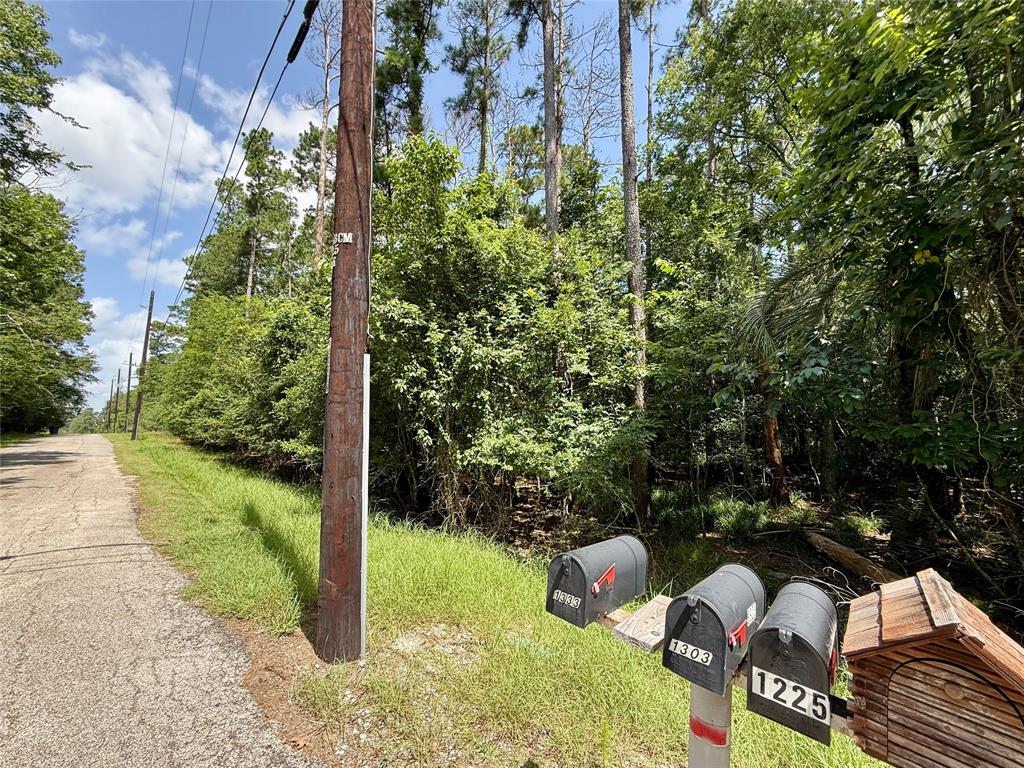 155 W Lake Drive