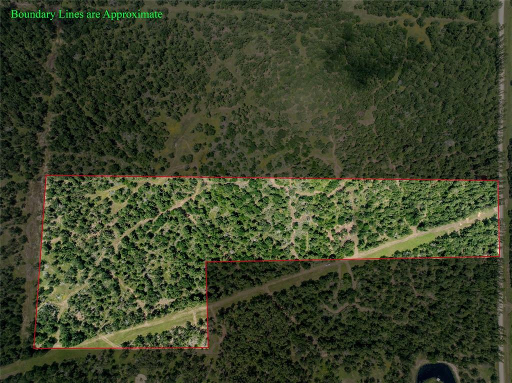 TBD Round Prairie Rd, Huntsville, Texas image 6