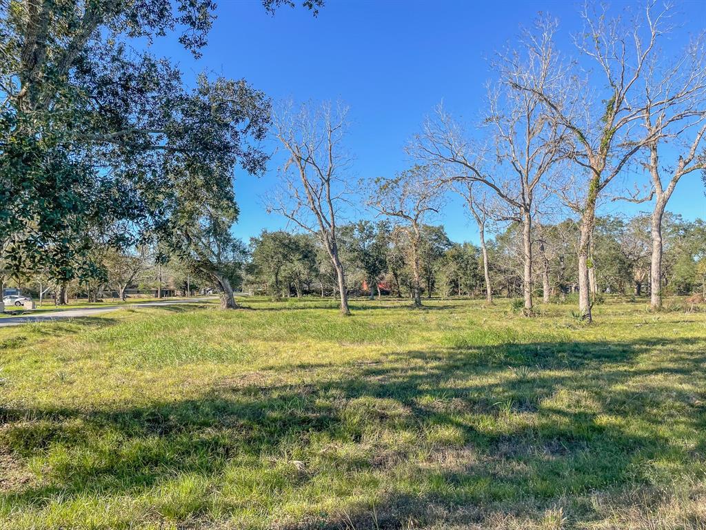 Denise Street, West Columbia, Texas image 9