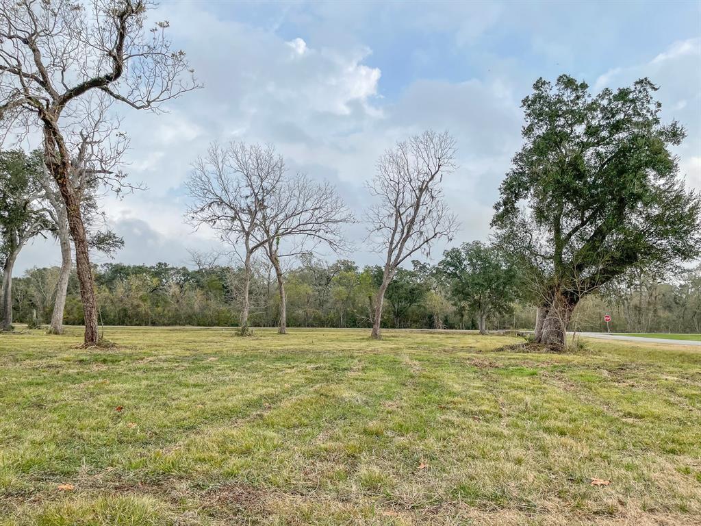 Denise Street, West Columbia, Texas image 10