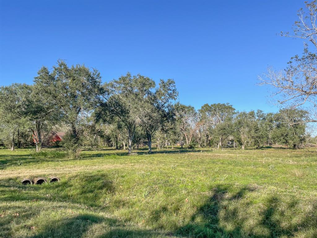 Denise Street, West Columbia, Texas image 3