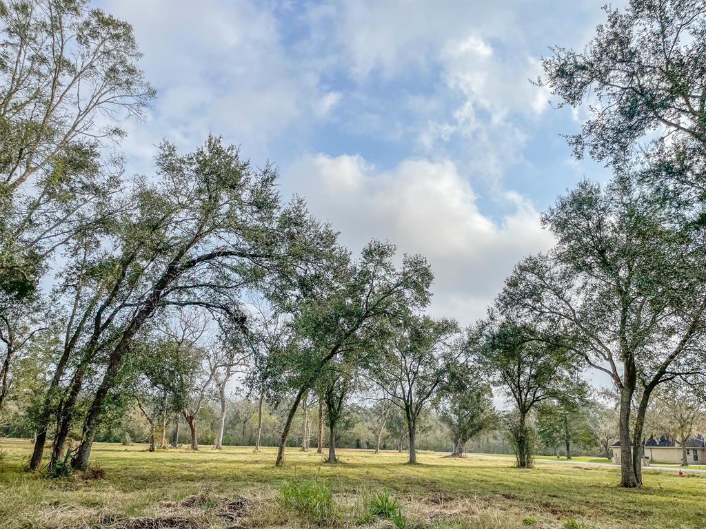 Denise Street, West Columbia, Texas image 15