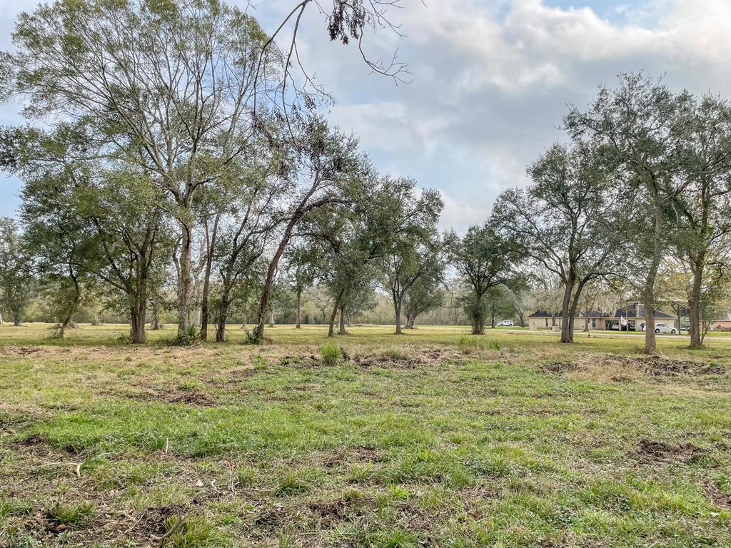 Denise Street, West Columbia, Texas image 14