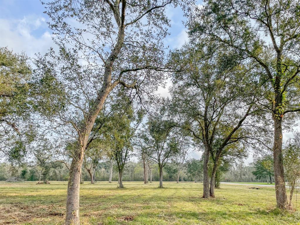 Denise Street, West Columbia, Texas image 1