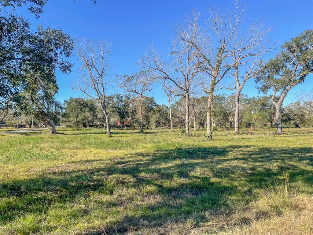 Denise Street, West Columbia, Texas image 6