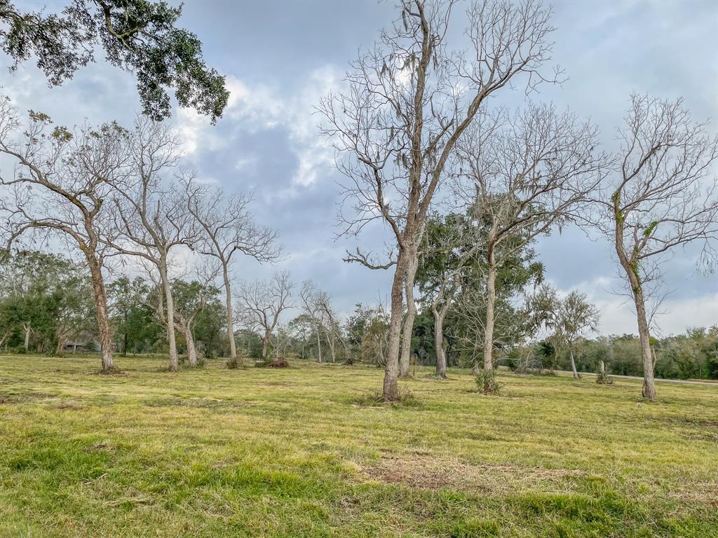 Denise Street, West Columbia, Texas image 16