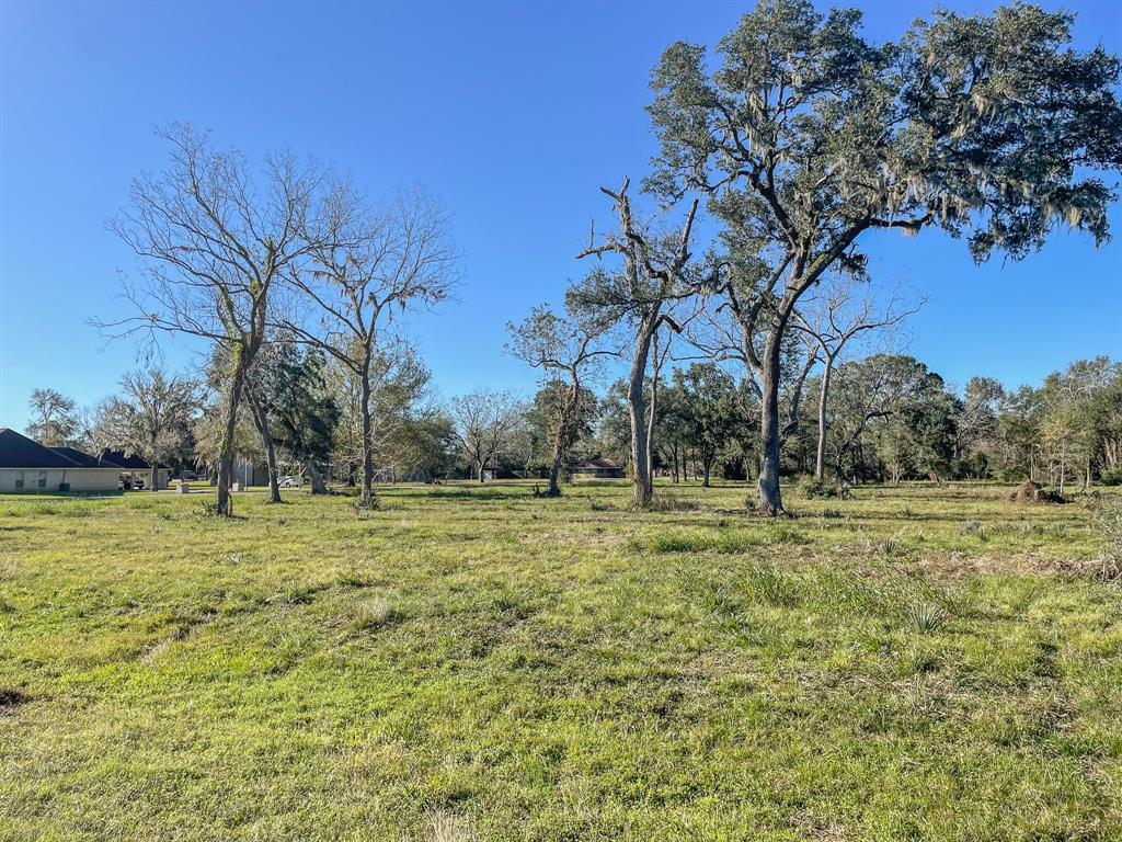 Denise Street, West Columbia, Texas image 12