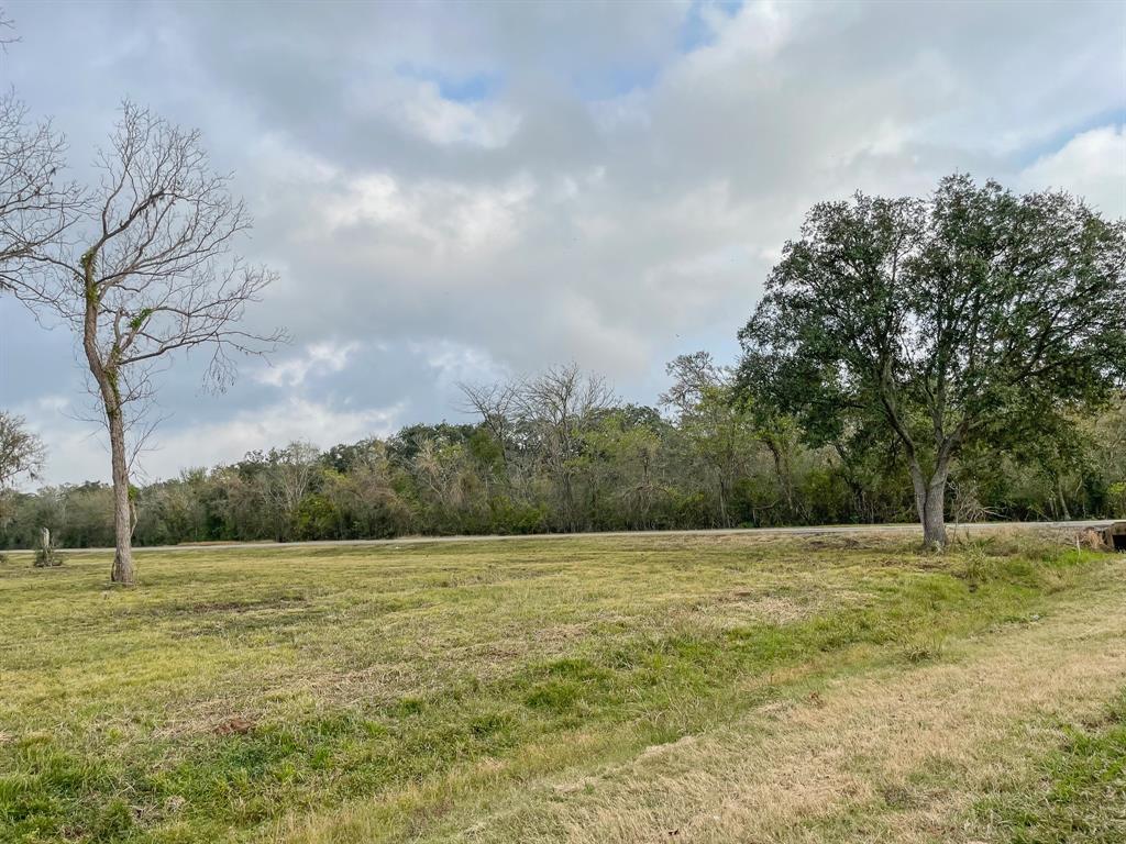 Denise Street, West Columbia, Texas image 18