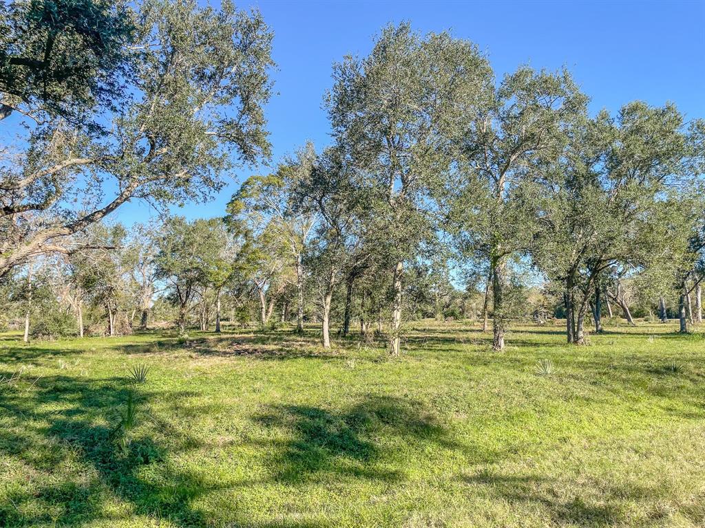 Denise Street, West Columbia, Texas image 8